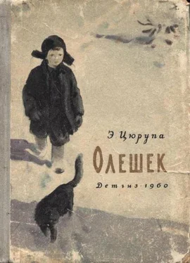 Эсфирь Цюрупа Олешек обложка книги