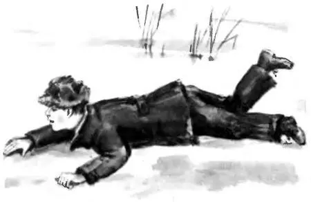 Она спокойно отошла на приличное расстояние снова застыла Он вскочил кинулся - фото 28