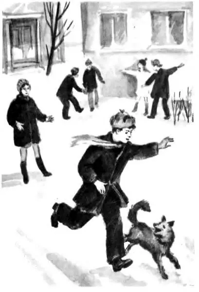 Сближению помогли Танька и пес Бард Они почемуто очень друг другу - фото 30