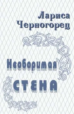 Лариса Черногорец Необоримая стена обложка книги