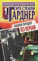 Эрл Гарднер - Кошки бродят по ночам