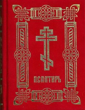 Давид Царь и Пророк Псалтирь (на цсл. гражданским шрифтом, с ударениями) обложка книги