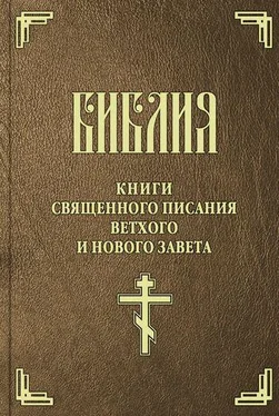 Сборник Библия (на цсл. гражданским шрифтом) обложка книги