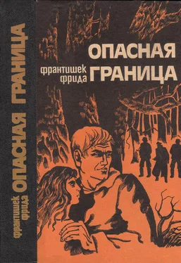 Франтишек Фрида Опасная граница: Повести обложка книги