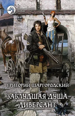 Григорий Шаргородский Заблудшая душа. Диверсант обложка книги