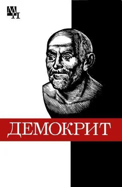 Бронислава Виц Демокрит обложка книги