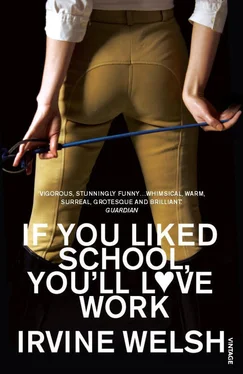 Irvine Welsh If You Liked School, You'll Love Work обложка книги