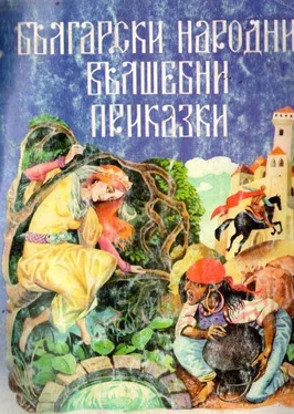 Неизвестный Автор Български народни вълшебни приказки обложка книги