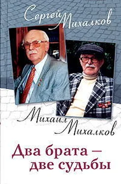 Сергей Михалков Два брата - две судьбы обложка книги