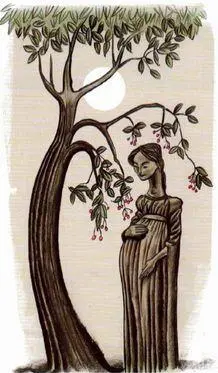 Вы не найдёте историю вишнёвого дерева ни в одной из древних священных книг - фото 208