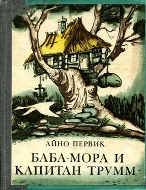 Айно Первик Баба-Мора и Капитан Трумм обложка книги