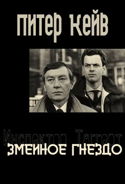 Питер Кейв Змеиное гнездо обложка книги