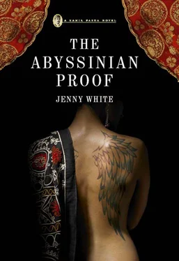 Jenny White The Abyssinian Proof обложка книги