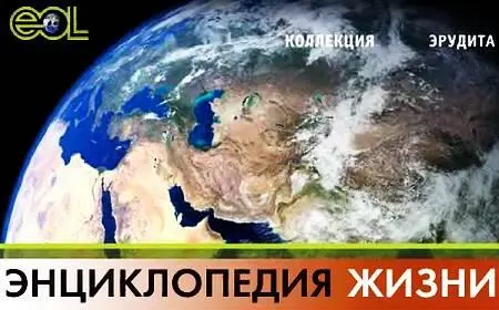 Описать все известные человеку 18 млн видов животных растений грибов и - фото 17