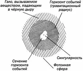 Чёрная дыра в разрезе Показаны горизонт событий и сингулярность в центре По - фото 23