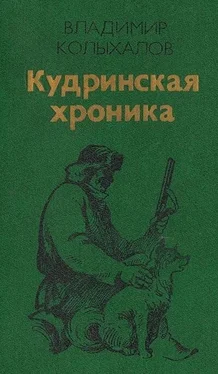 Владимир Колыхалов Кудринская хроника обложка книги