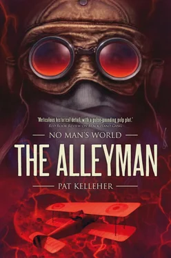 Pat Kelleher The Alleyman обложка книги