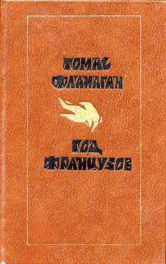 Томас Фланаган Год французов обложка книги