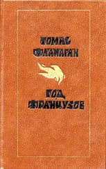 Томас Фланаган - Год французов