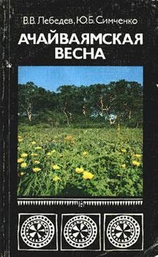 Владимир Лебедев Ачайваямская весна обложка книги