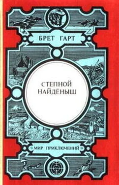 Брет Гарт Степной найденыш обложка книги