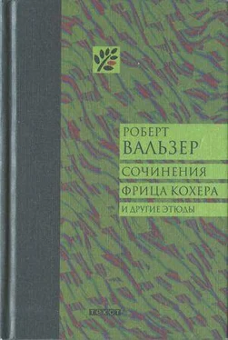 Роберт Вальзер Сочинения Фрица Кохера и другие этюды обложка книги