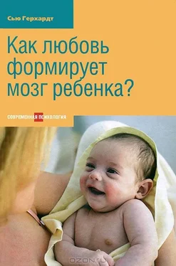 Сью Герхард Как любовь формирует мозг ребенка? обложка книги