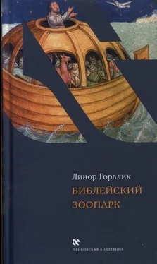 Линор Горалик Библейский зоопарк обложка книги