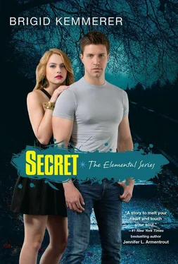 Brigid Kemmerer Secret обложка книги