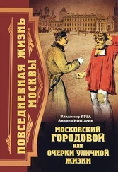 Андрей Кокорев - Повседневная жизнь Москвы. Московский городовой, или Очерки уличной жизни