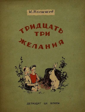 Иван Белышев Тридцать три желания (сборник) обложка книги