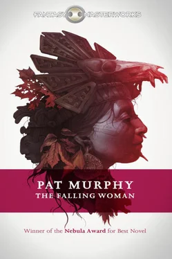 Pat Murphy The Falling Woman обложка книги