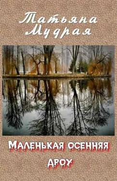 Татьяна Мудрая Маленькая осенняя дроу обложка книги