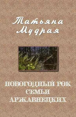 Татьяна Мудрая Новогодний рок семьи Аржавнецких обложка книги