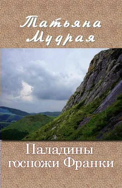 Татьяна Мудрая Паладины госпожи Франки обложка книги