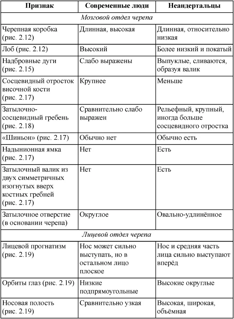 Таблица 22 Основные различия в анатомии посткраниального скелета между - фото 107