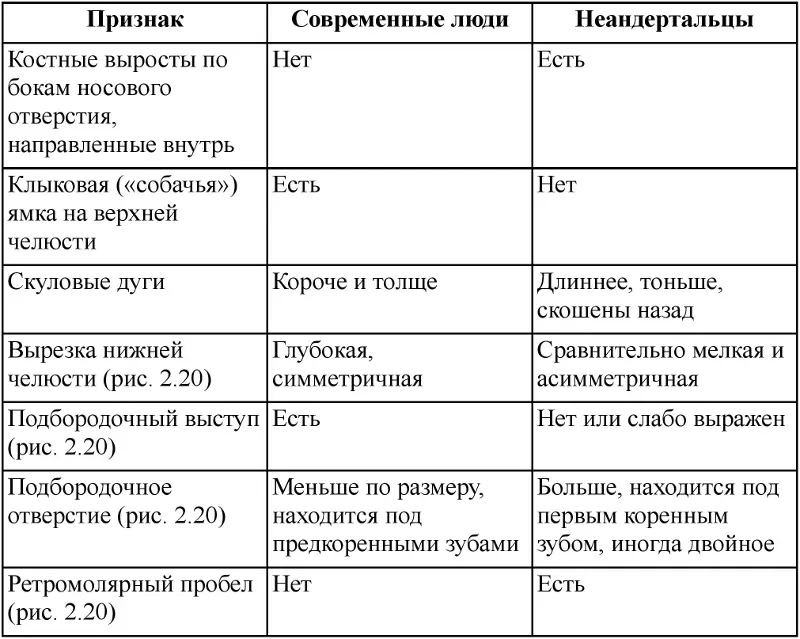Таблица 22 Основные различия в анатомии посткраниального скелета между - фото 108