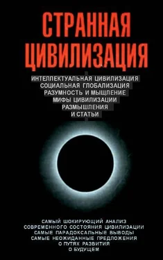 Цаплин Владимир Странная цивилизация обложка книги