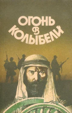 Юрий Иваниченко Огонь в колыбели обложка книги