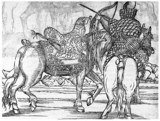 Russian cavalryman of the sixteenth century Woodcut by Hirschvogel - фото 10