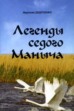 Идиллия Дедусенко Легенды Седого Маныча обложка книги