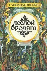Николай Бичехвост - Писатели — искатели приключений