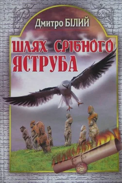 Дмитро Білий Шлях Срібного Яструба обложка книги