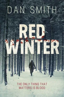 Dan Smith Red Winter обложка книги