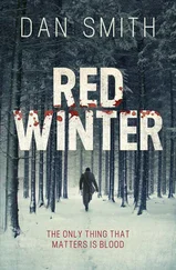 Dan Smith - Red Winter