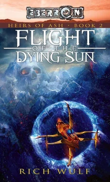 Rich Wulf Flight of the Dying Sun обложка книги