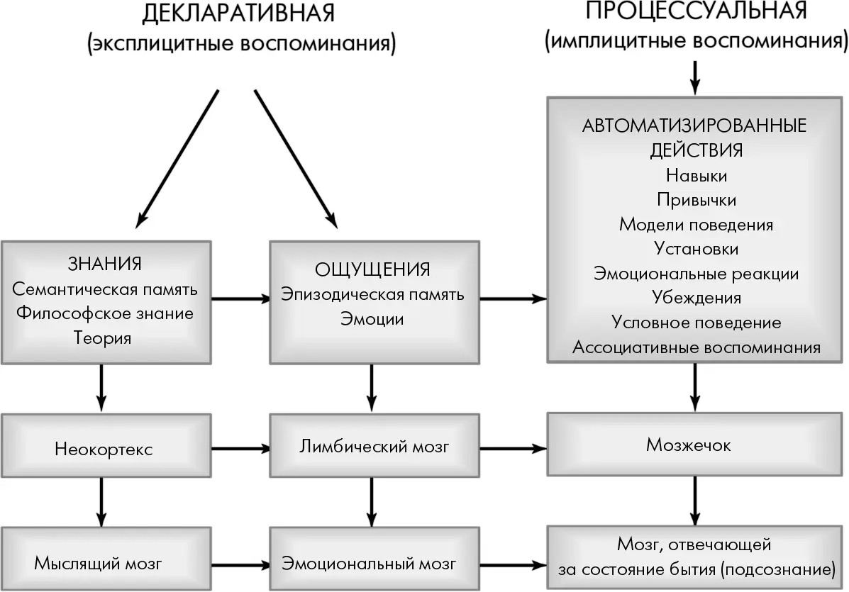 Рис 6Б1Декларативная и процессуальная память Знание Ощущение Мудрость - фото 16