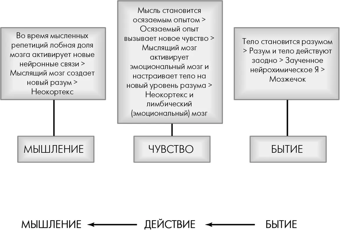 Рис 6ГОт мышления можно сразу перейти к бытию минуя стадию действия В - фото 19