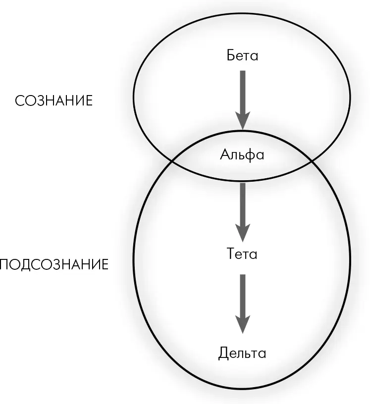 Рис 8КНа диаграмме показана динамика мозгового излучения от самых быстрых - фото 38
