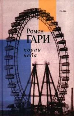 Ромен Гари Корни Неба обложка книги